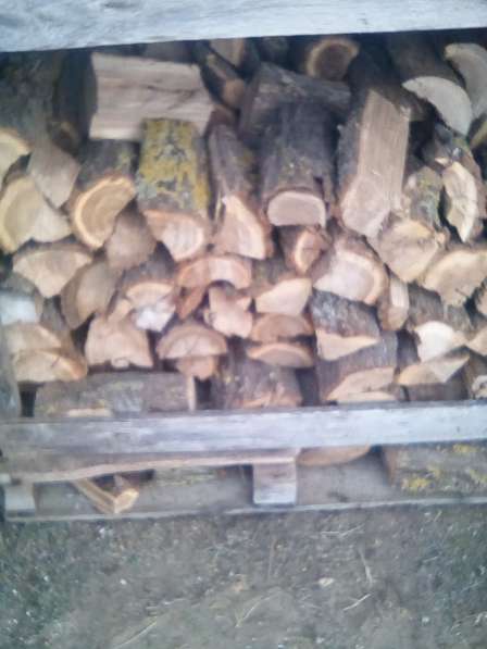 Продаются дрова в Калаче-на-дону фото 5