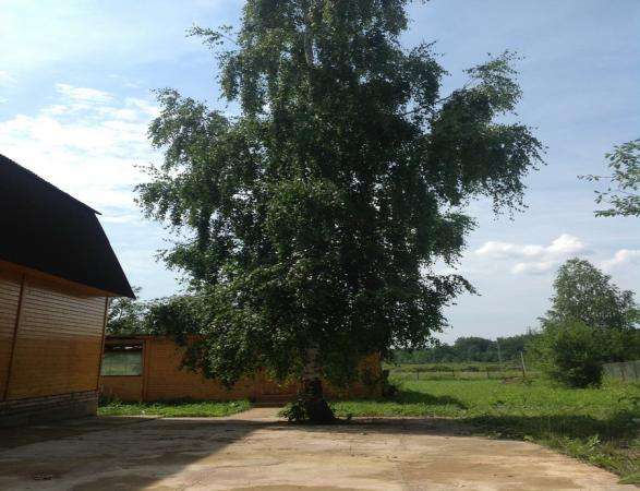 Продается жилой дом с участком 15 соток в пгт. Уваровка, Можайский район, 132 км от МКАД по Минскому шоссе. в Можайске фото 6