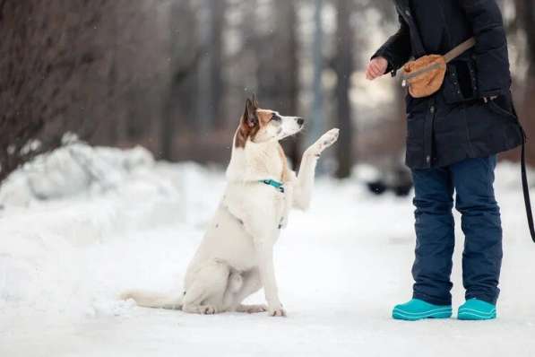 Тунис в поисках любящей семьи в Москве фото 27