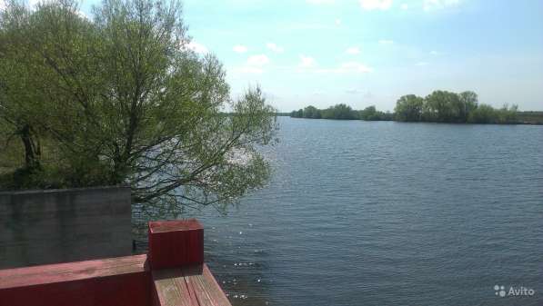 Участок 17.5 сот. (СНТ, ДНП) в Ивантеевка