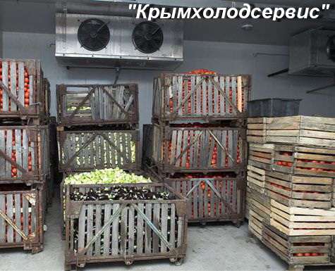 Овощные холодильные камеры в Крыму с установкой. Сервис 24 ч в Симферополе фото 16