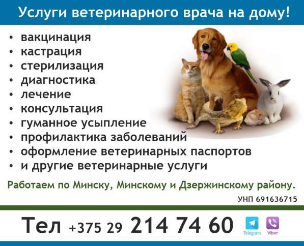 Услуги ветеринарного врача на дому! г. Минск в фото 4