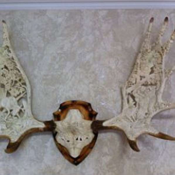 Изделия из рога лося в Москве фото 12