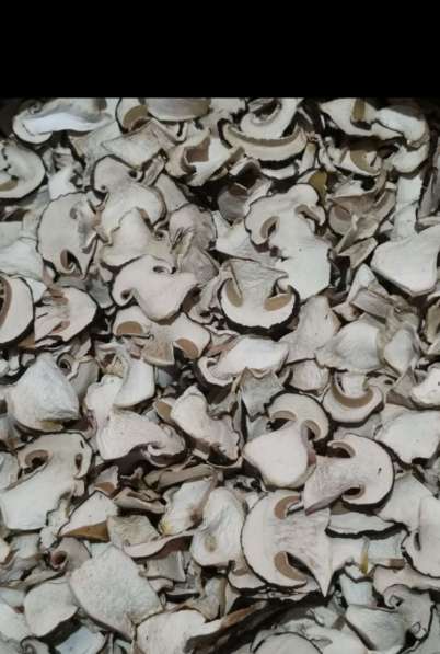 Белый гриб сушеный высший сорт(экстра)