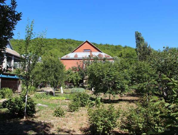 Работа в садах на побережье чёрного моря