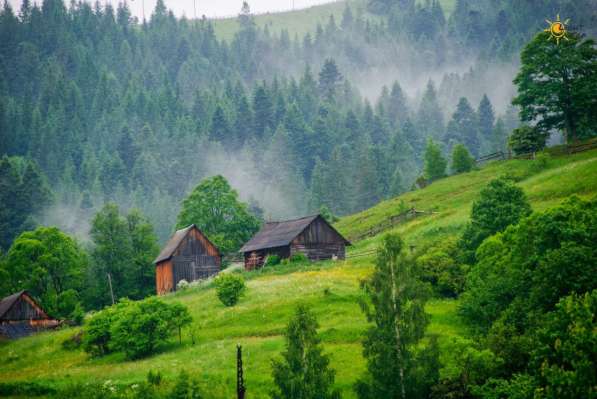 Прекрасный отдых среди Карпатских гор!!!