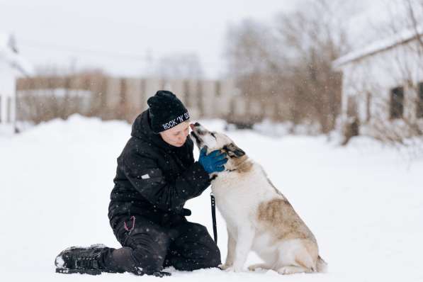 Суперактивная Халва в Москве фото 17