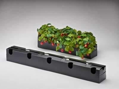 Ящик для выращивания клубники