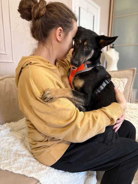 Маленькая лапочка ищет дом