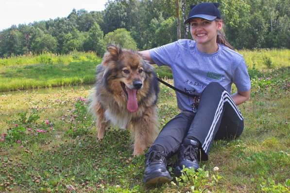 Борзик ищет дом в Москве