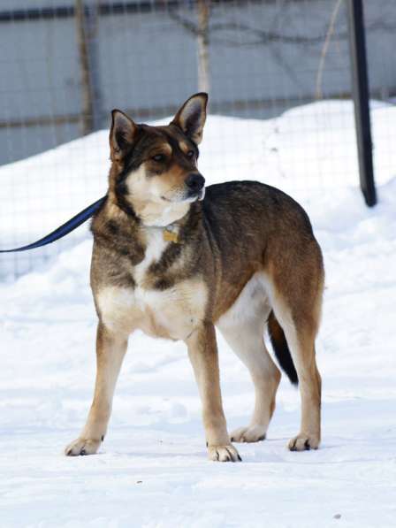 Жду тебя, мой Человек в Москве фото 6