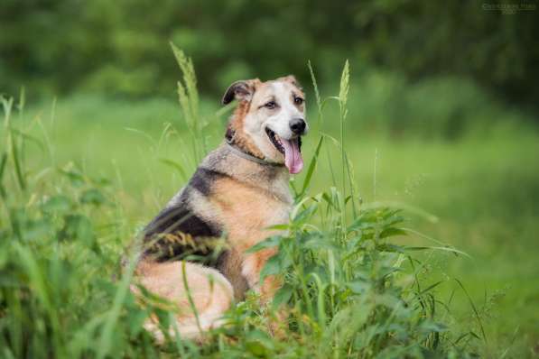 Молодой энергичный Майор ищет семью в Москве фото 35