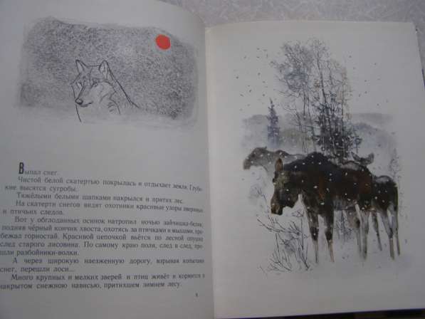 Год в лесу (книга для детей про животных) в Москве фото 6