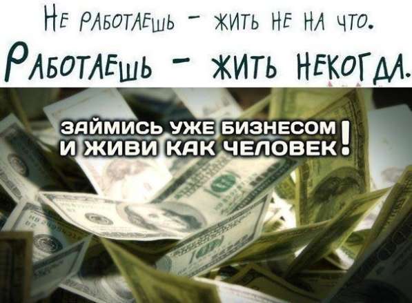 Управляющий партнер холдинга в Владикавказе