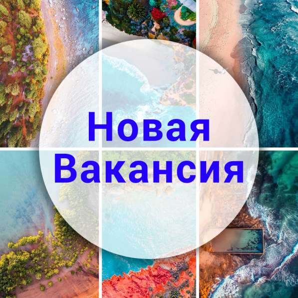 Администратор соц. сетей