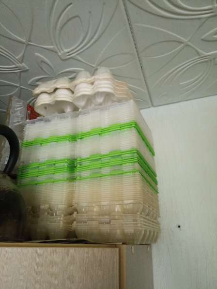Лотки для яиц