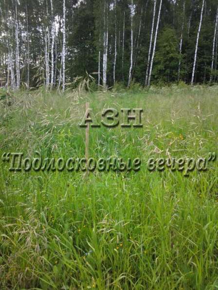 realty_mapper3.plot_in_locationПлощадь 10.00 сот.Есть Электричество, Водопровод. в Москве фото 4