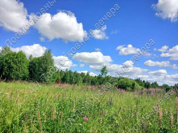 realty_mapper3.plot_in_locationСадовое некоммерческое тов-во. Площадь 12.00 сот.Есть Электричество.