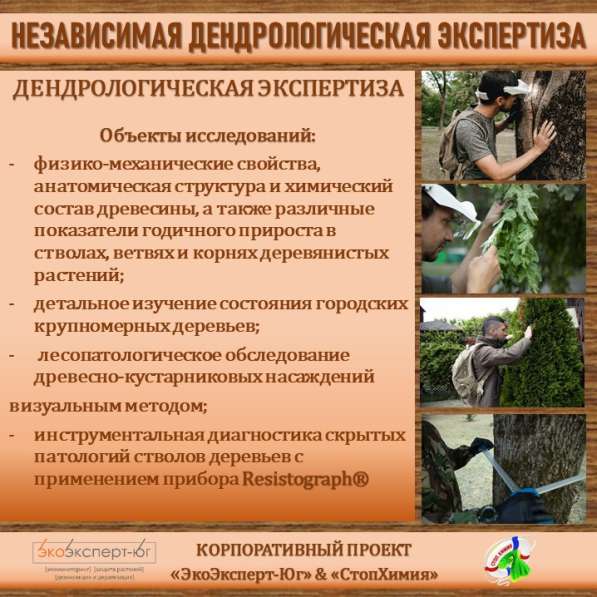 СИСТЕМА УПРАВЛЕНИЯ ФИТОСАНИТАРНЫМ СОСТОЯНИЕМ ЭКОСИСТЕМ в Сочи фото 35