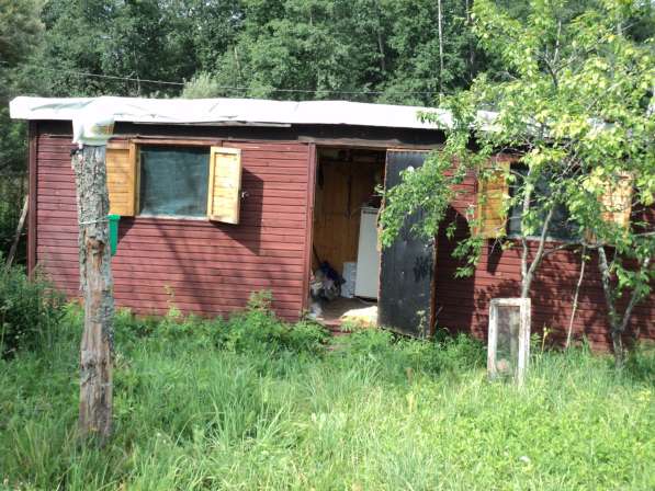 Обработанный (бытовка, электричество, сад) участок в СНТ в Волоколамске фото 19