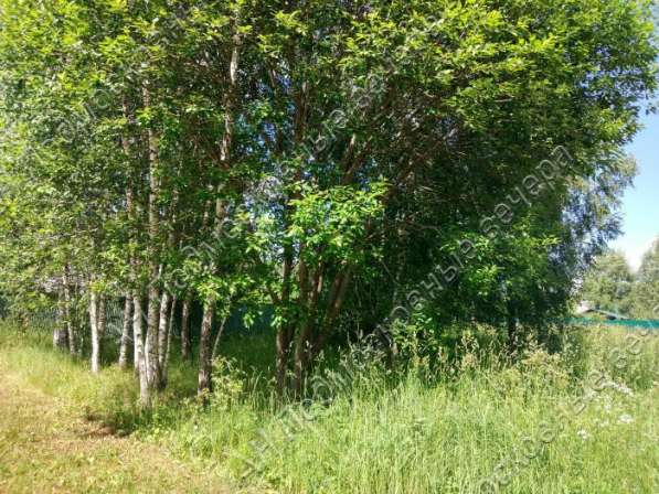 realty_mapper3.plot_in_locationСадовое некоммерческое тов-во. Площадь 10.00 сот.Есть Электричество. в Москве фото 4