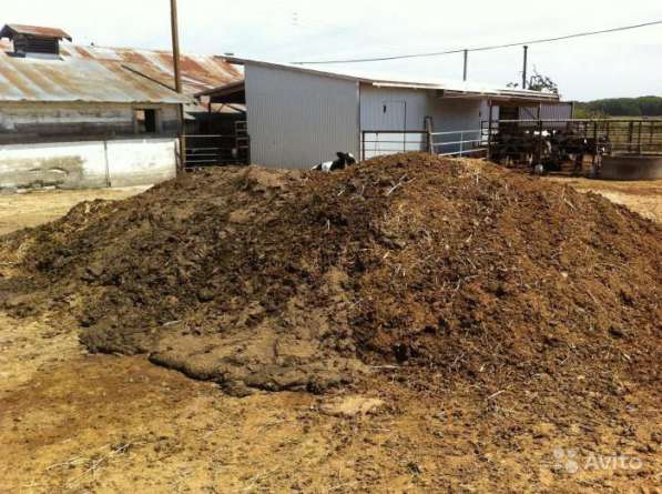 Продам Перегной, Навоз в Чайковском фото 6