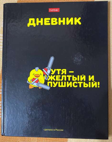 Школьный дневник