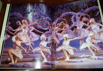 Русский балет и его звезды в Калининграде фото 3