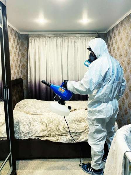 Дезинфекция от насекомых эффективно