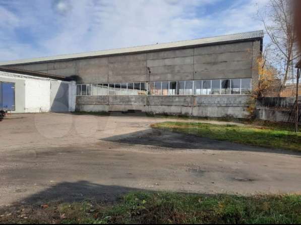 Сдам в аренду