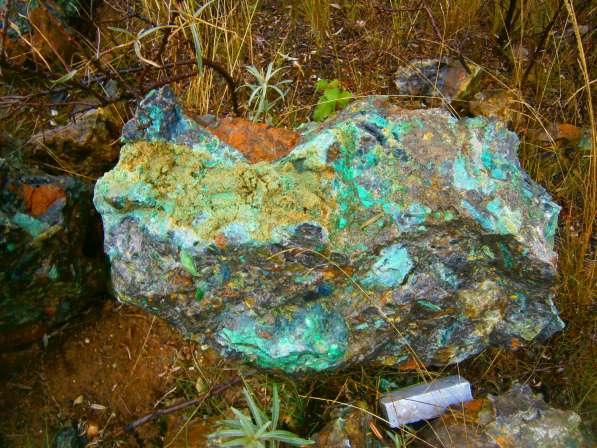 Ландшафтный камень с зеленью 7р кг в Екатеринбурге фото 3