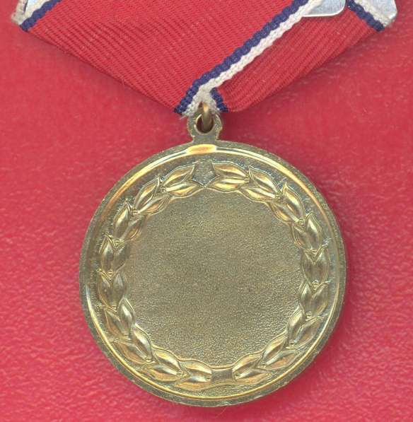 Медаль Слава Героям Донбасса и Новороссии бланк документ в Орле фото 10