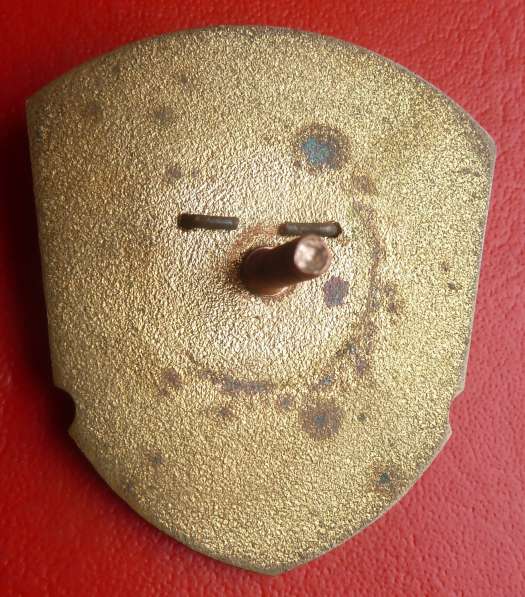 СССР знак эсминец Безудержный ВМФ флот в Орле фото 3