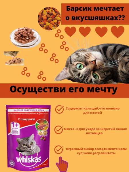 Услуги графического дизайнера в Москве фото 3