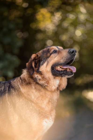 Макс ищет дом в Москве