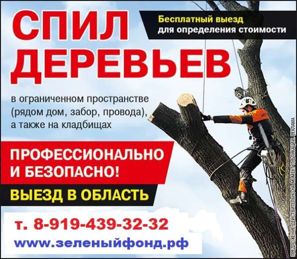 Удаление деревьев любой сложности в Воронеже