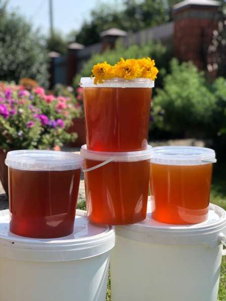 Свежий Алтайский мёд с личной пасеки