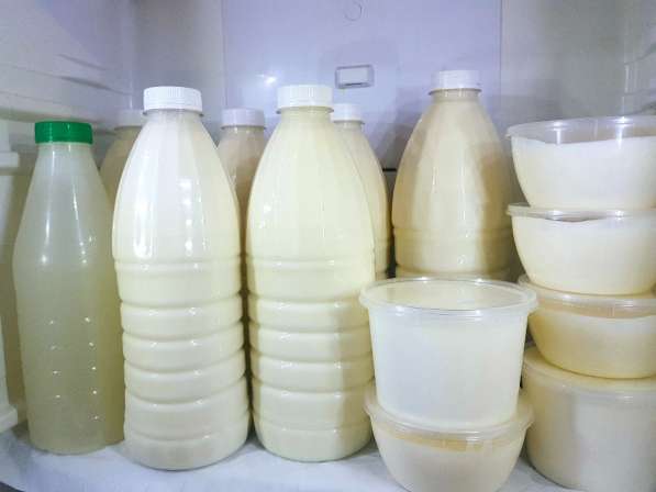 Фермерские молочные продукты:молоко, творог, сметана, йогурт