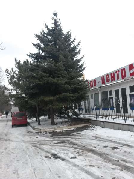 Торгово-выставочный комплекс в центре Луганска в фото 3