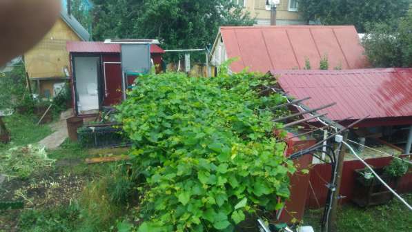 Продается дача на 39 километре в Уфе фото 12