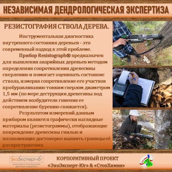 СИСТЕМА УПРАВЛЕНИЯ ФИТОСАНИТАРНЫМ СОСТОЯНИЕМ ЭКОСИСТЕМ в Сочи фото 30