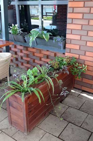 Уход за растениями в Челябинске фото 4