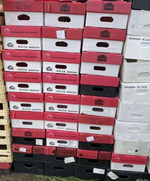 Пластиковые коробки для хранения в Перми фото 5