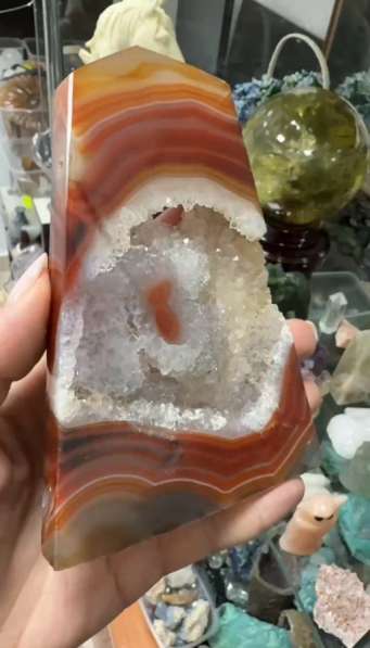 Сердолик в Новосибирске фото 4