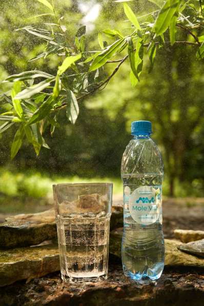 Mole Vita в Крымске фото 9