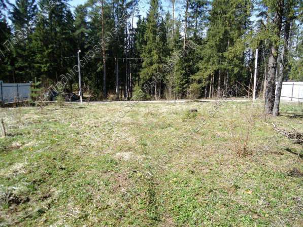 realty_mapper3.plot_in_locationСадовое некоммерческое тов-во. Площадь 20.00 сот.Есть Электричество. в Москве фото 10