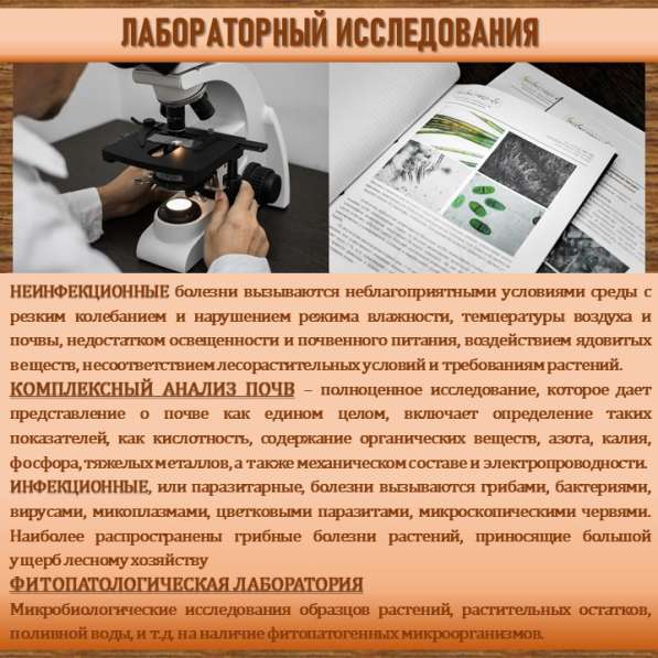 СИСТЕМА УПРАВЛЕНИЯ ФИТОСАНИТАРНЫМ СОСТОЯНИЕМ ЭКОСИСТЕМ в Сочи фото 29