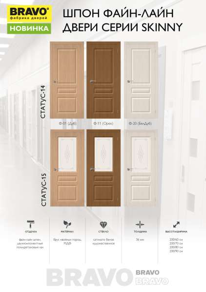 Двери межкомнатные и входные в Пскове