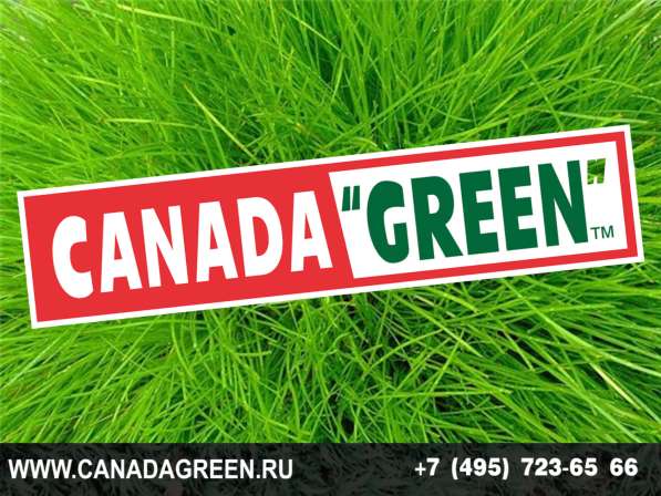 Газонные травосмеси канадагрин в Москве фото 11