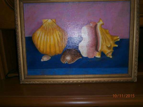 Натюрморт "Раковины"